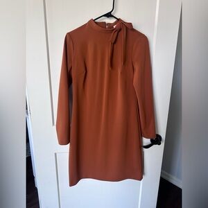 Calvin Klein Rust Long Sleeve Dress